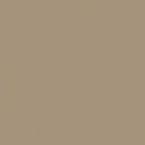 RAL 1019 Grey Beige Aerosol Spray Paint 400ml