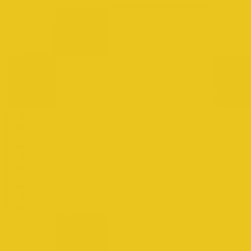 RAL 1021 Rape Yellow Aerosol Spray Paint 400ml