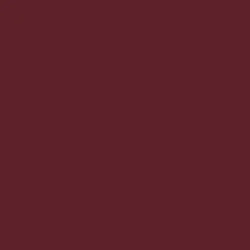 RAL 3005 Wine Red Aerosol Spray Paint 400ml