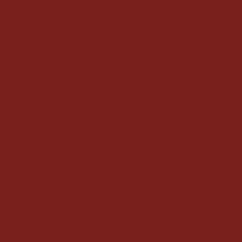 RAL 3011 Brown Red Aerosol Spray Paint 400ml