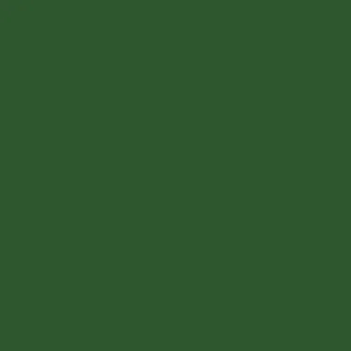 RAL 6002 Leaf Green Aerosol Spray Paint 400ml