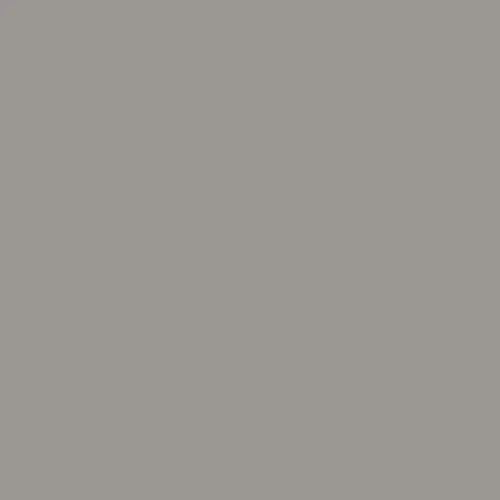 RAL 7036 Platinum Grey Aerosol Spray Paint 400ml